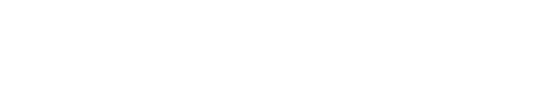 Logo DOLZER