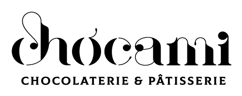Logo CHOCAMI